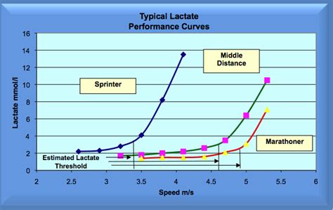 How to Find Your Running Speed at Lactate .